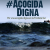 Plataforma de colectivos / ONGs / Organizaciones / Activistas independientes que trabajan por una #AcogidaDigna